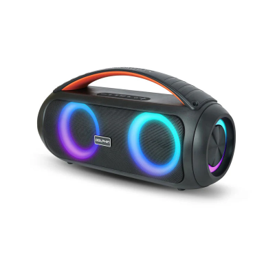 Dolphin Boombox Portable Bluetooth Speaker - LX-220